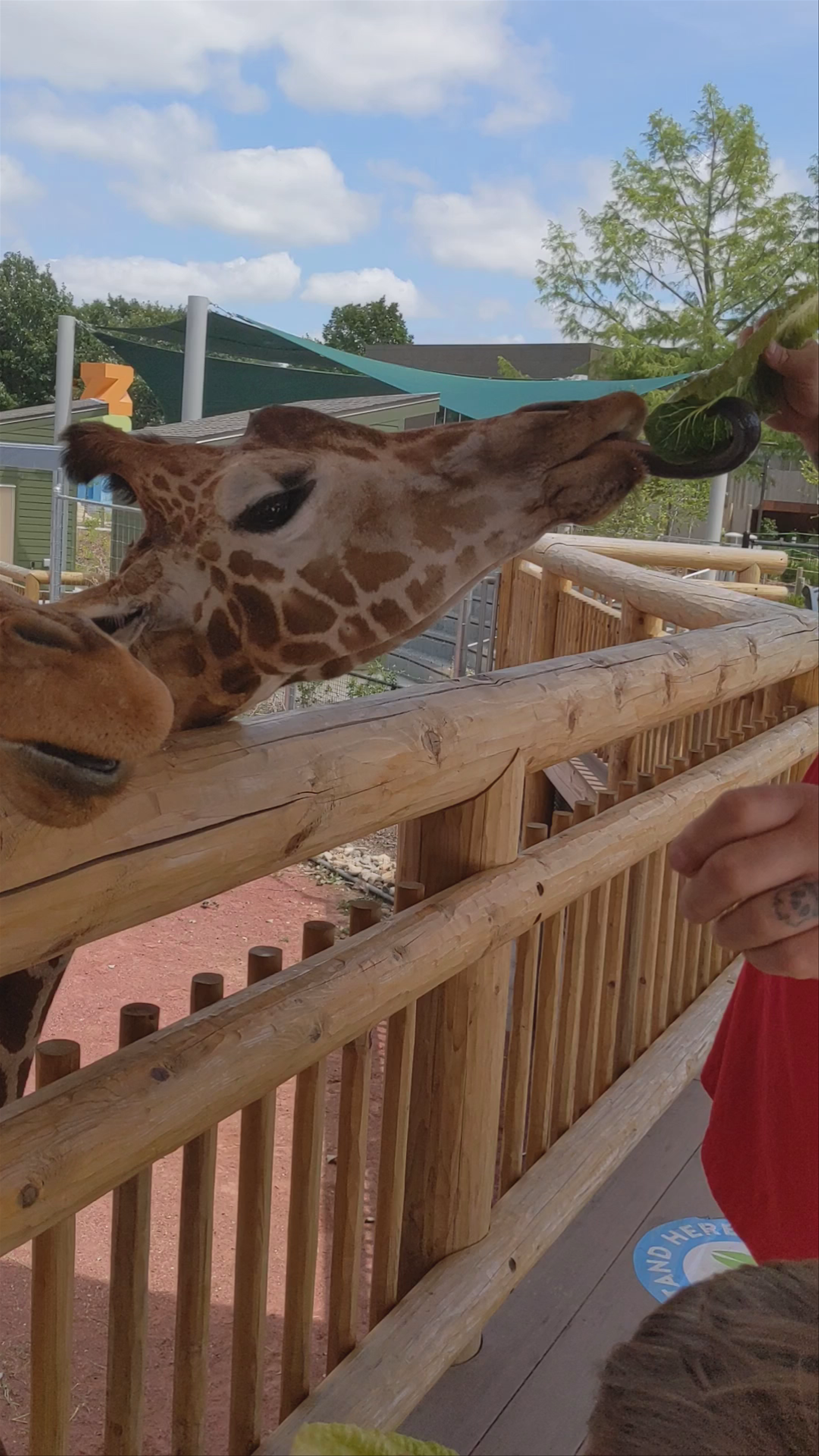Lincoln Children's Zoo