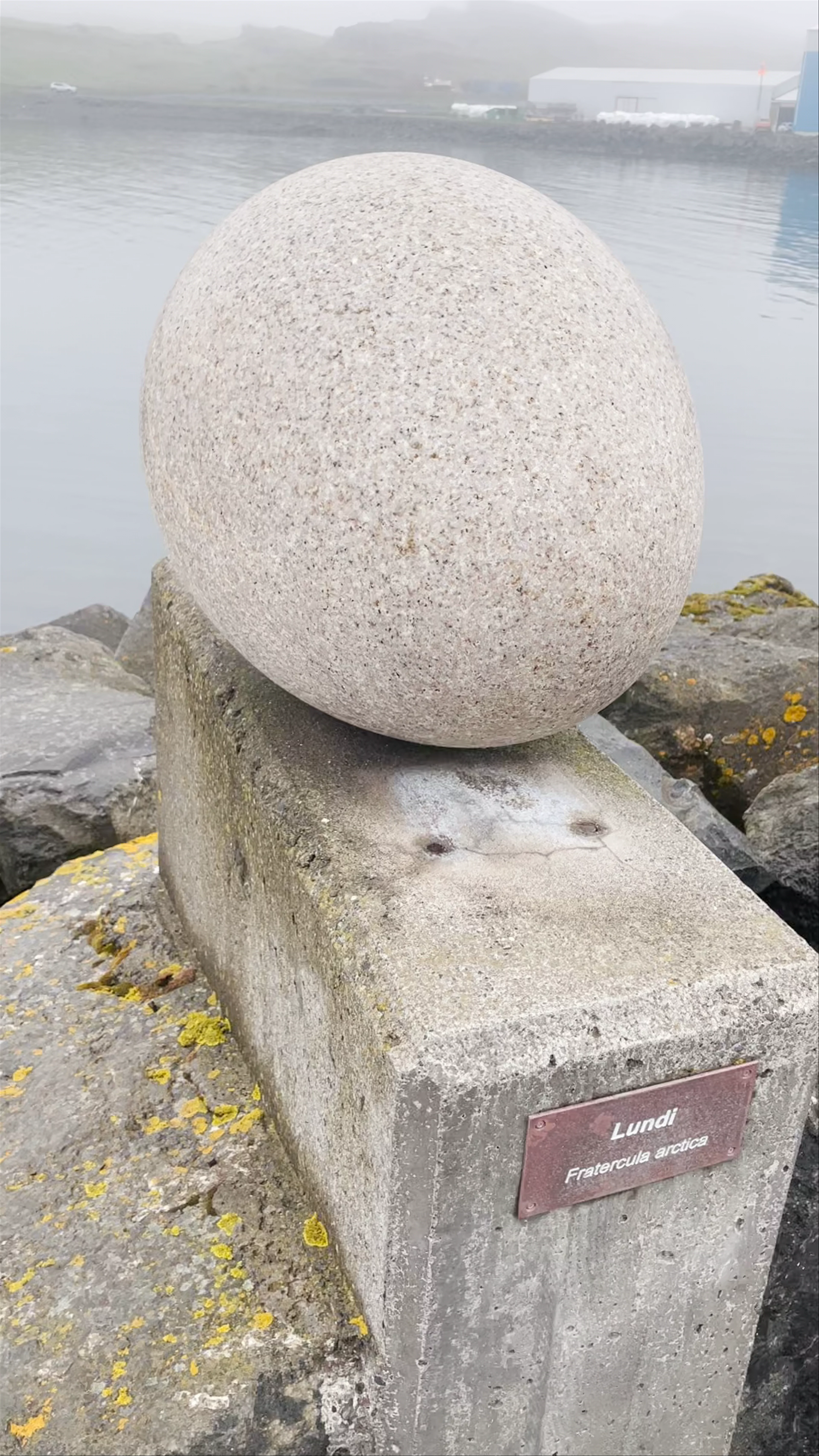 Eggin í Gleðivík, Víkurland, Djúpivogur, Iceland