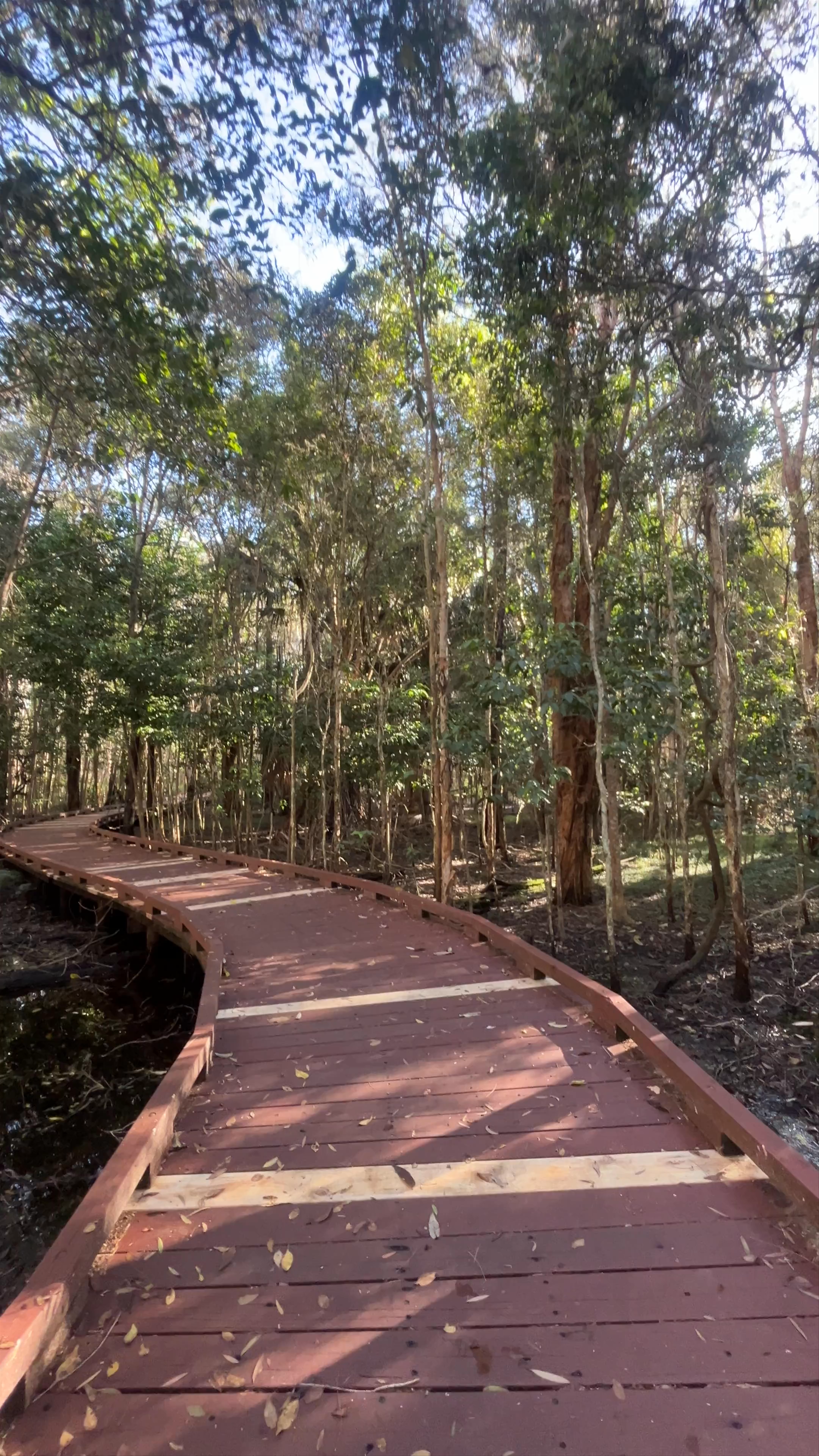 Coombabah Lakelands Conservation Area