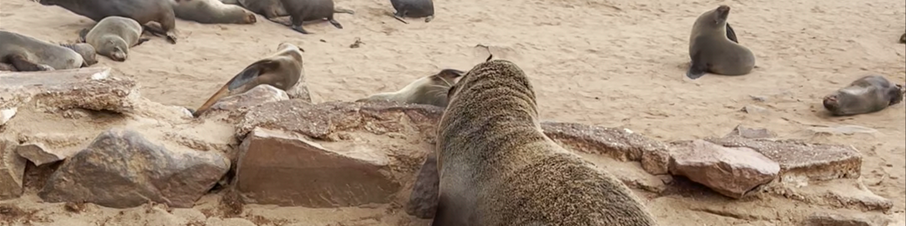 Namibia