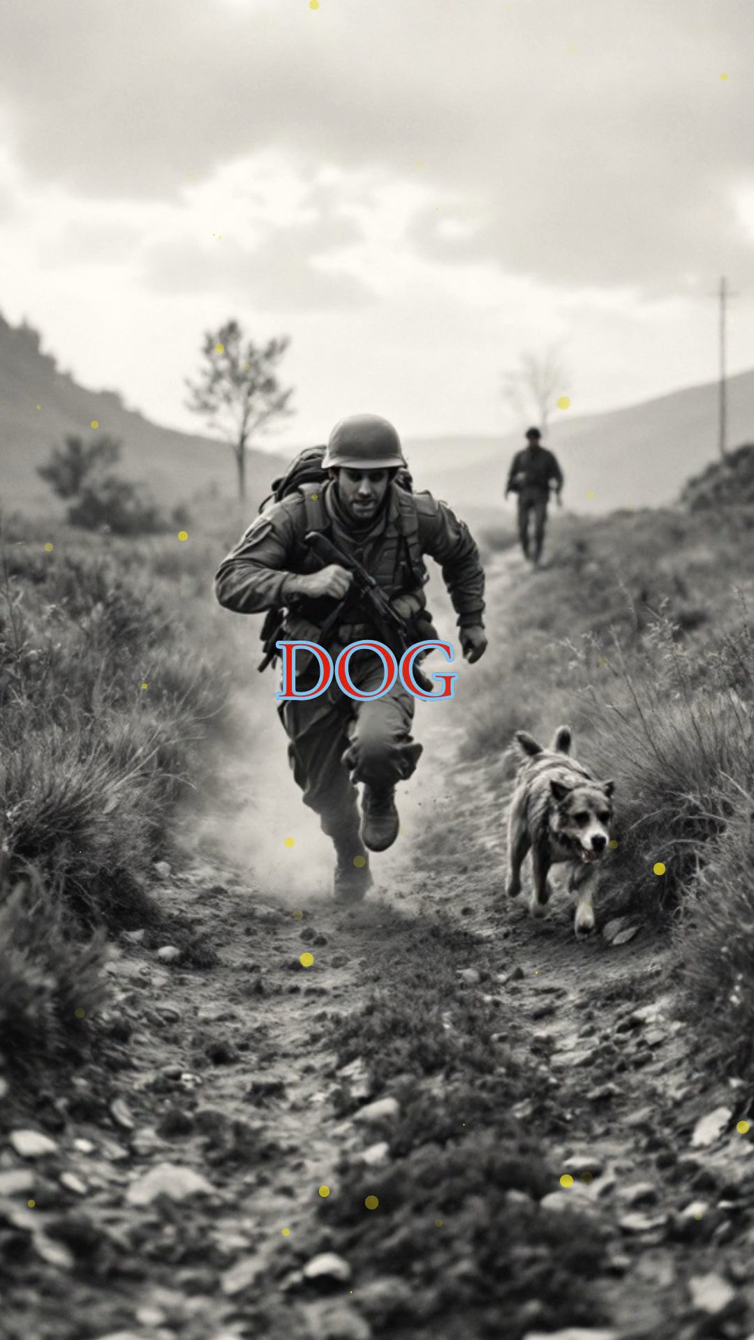 The War of the Stray Dog: A Conflict Sparked by a Canine