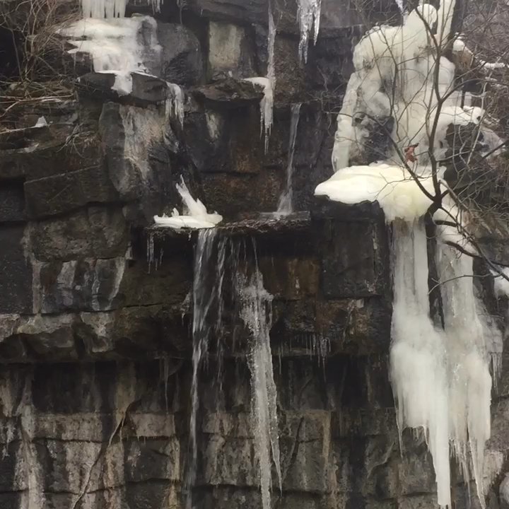 Tierpark Berlin - Zoos Near Me - Berlin, BE