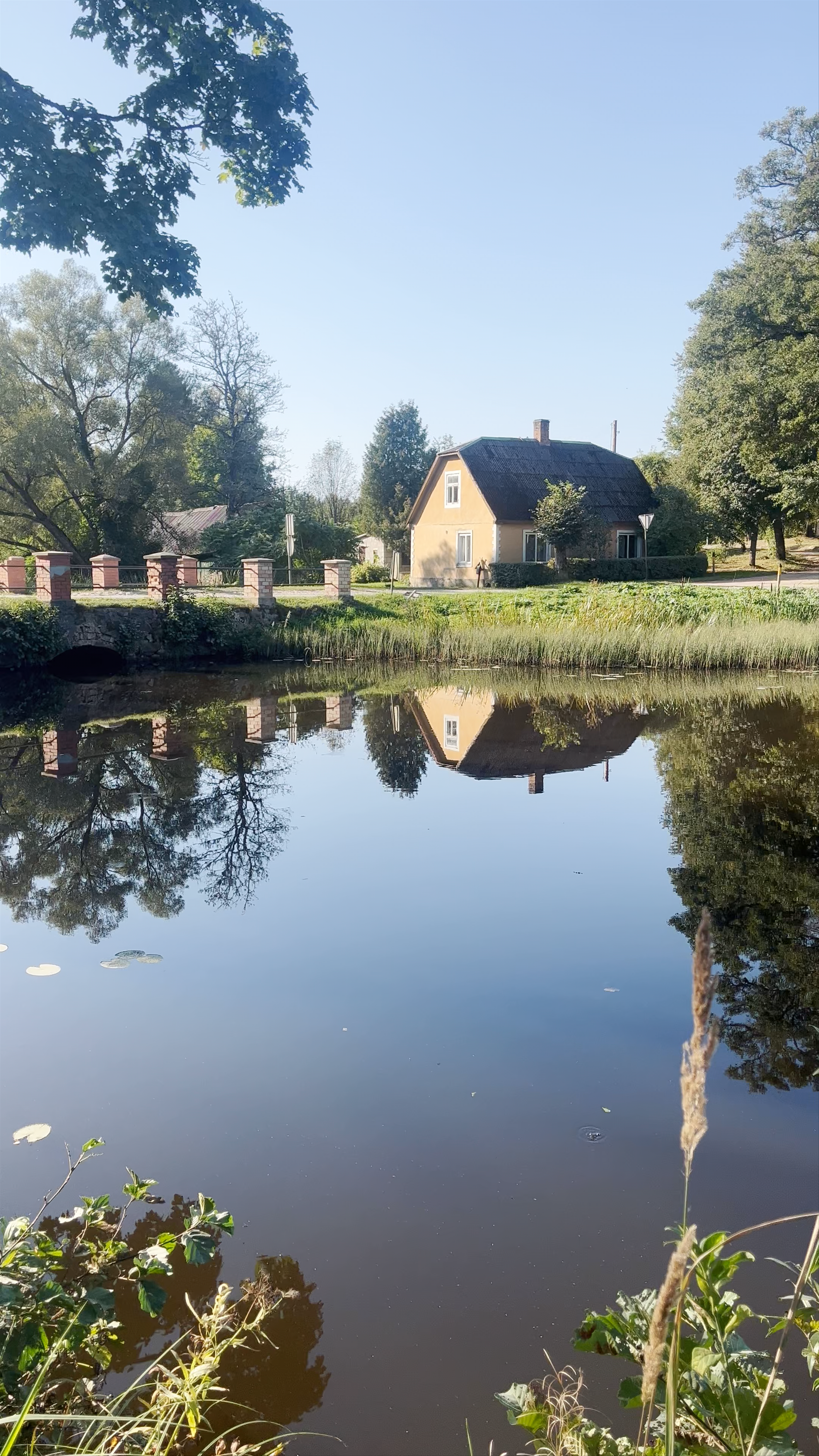 Garsenes dzirnavu dīķis