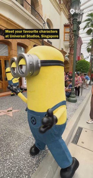 Photo of Are you planning to 