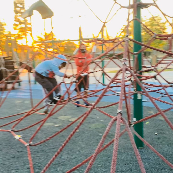 East Side Park - TRex and Bee - Parks Near Me - Yorba Linda, California