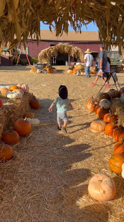 Larry's Produce - Cute place for a pumpkin patch - Fruits & Veggies Near Me - Fairfield, California