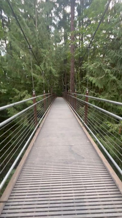 Bellevue Botanical Garden - Botanical Gardens Near Me - Bellevue, Washington
