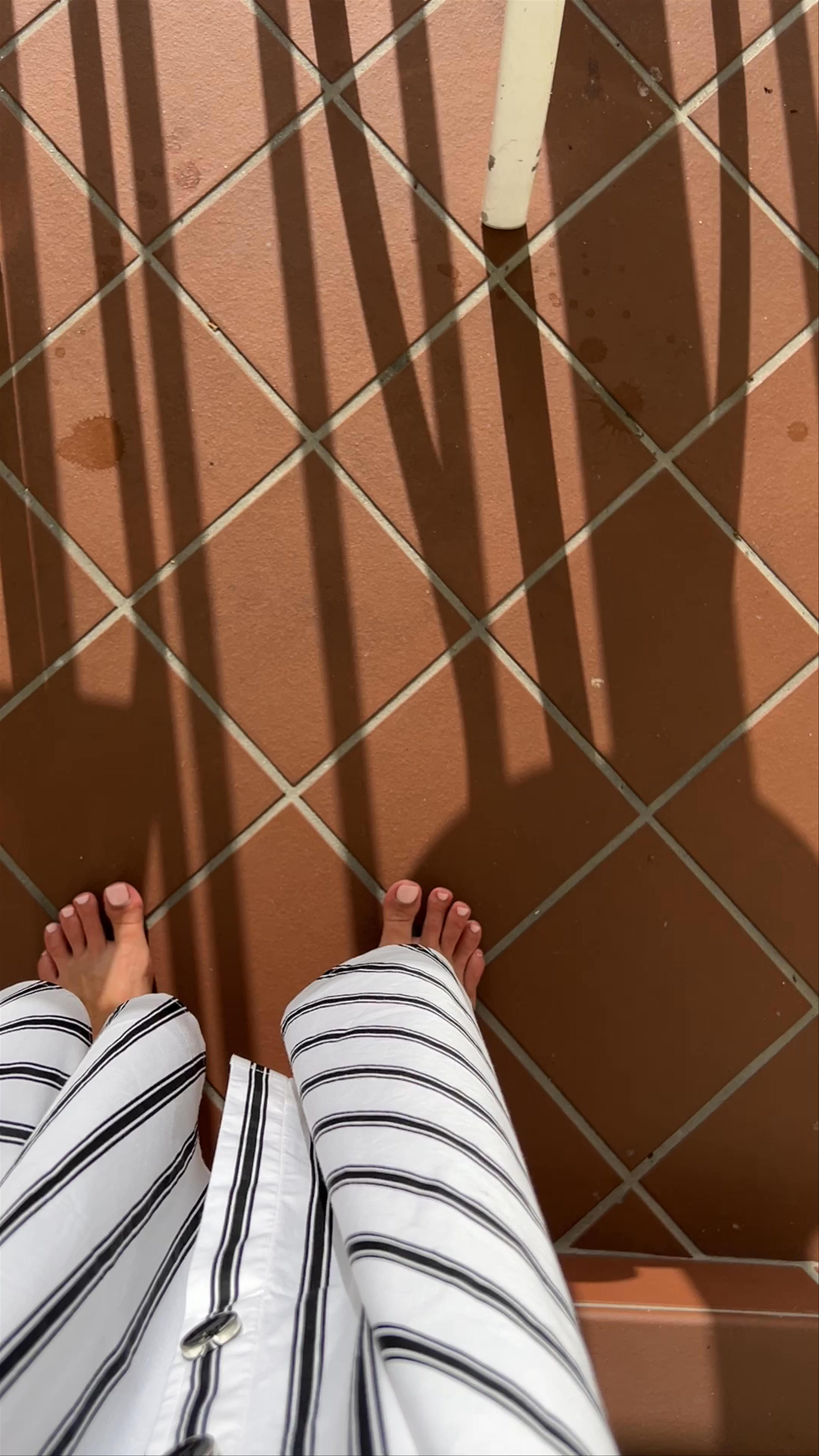 Morning Serenity at Pelican Grand Beach Resort, Fort Lauderdale