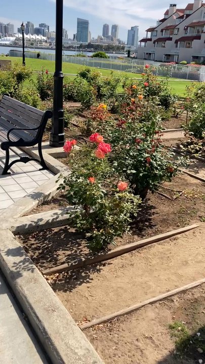 Centennial Park - Parks Near Me - Coronado, California