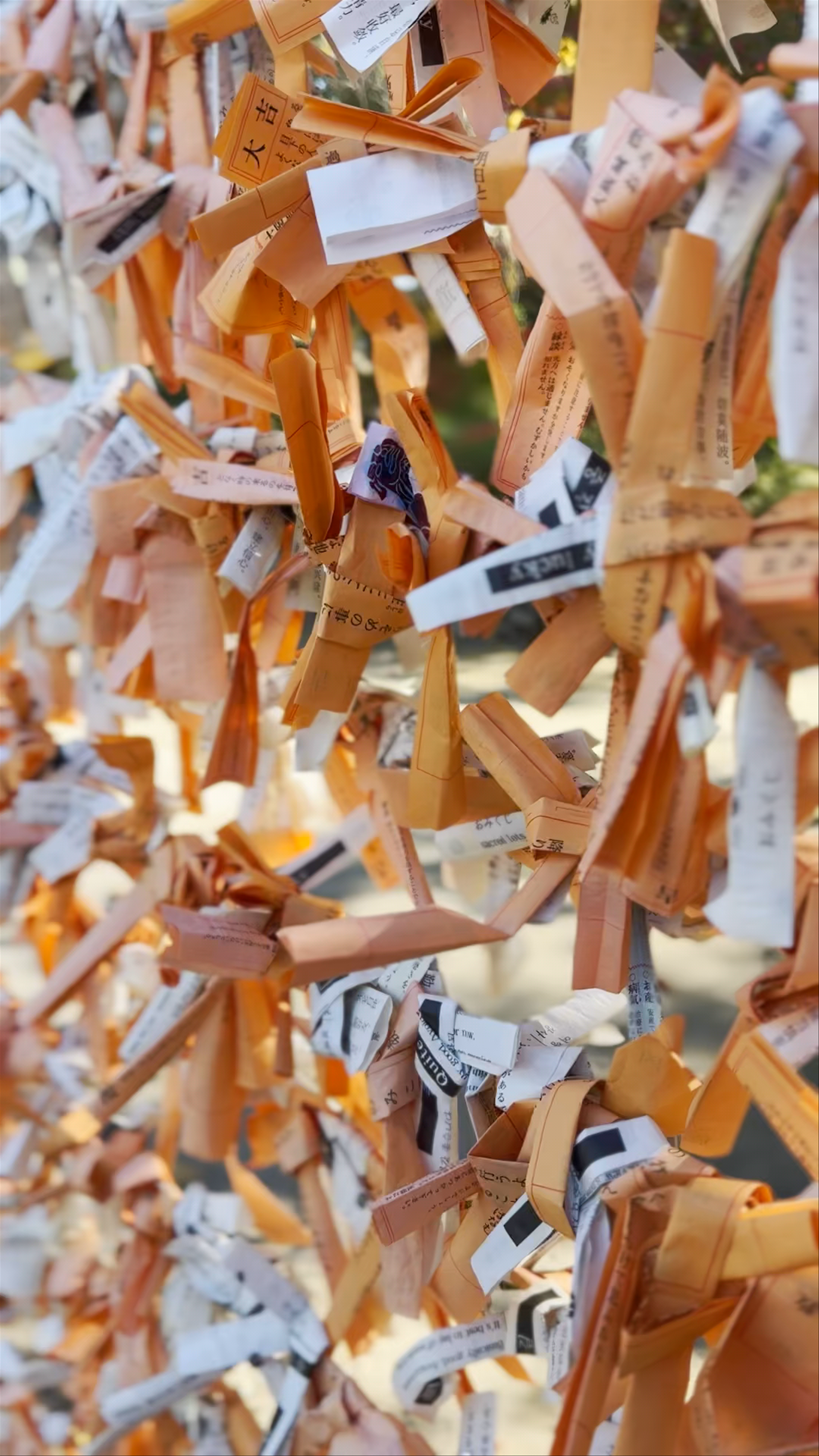 Spiritual Wishes at Osaka Castle Shrine
