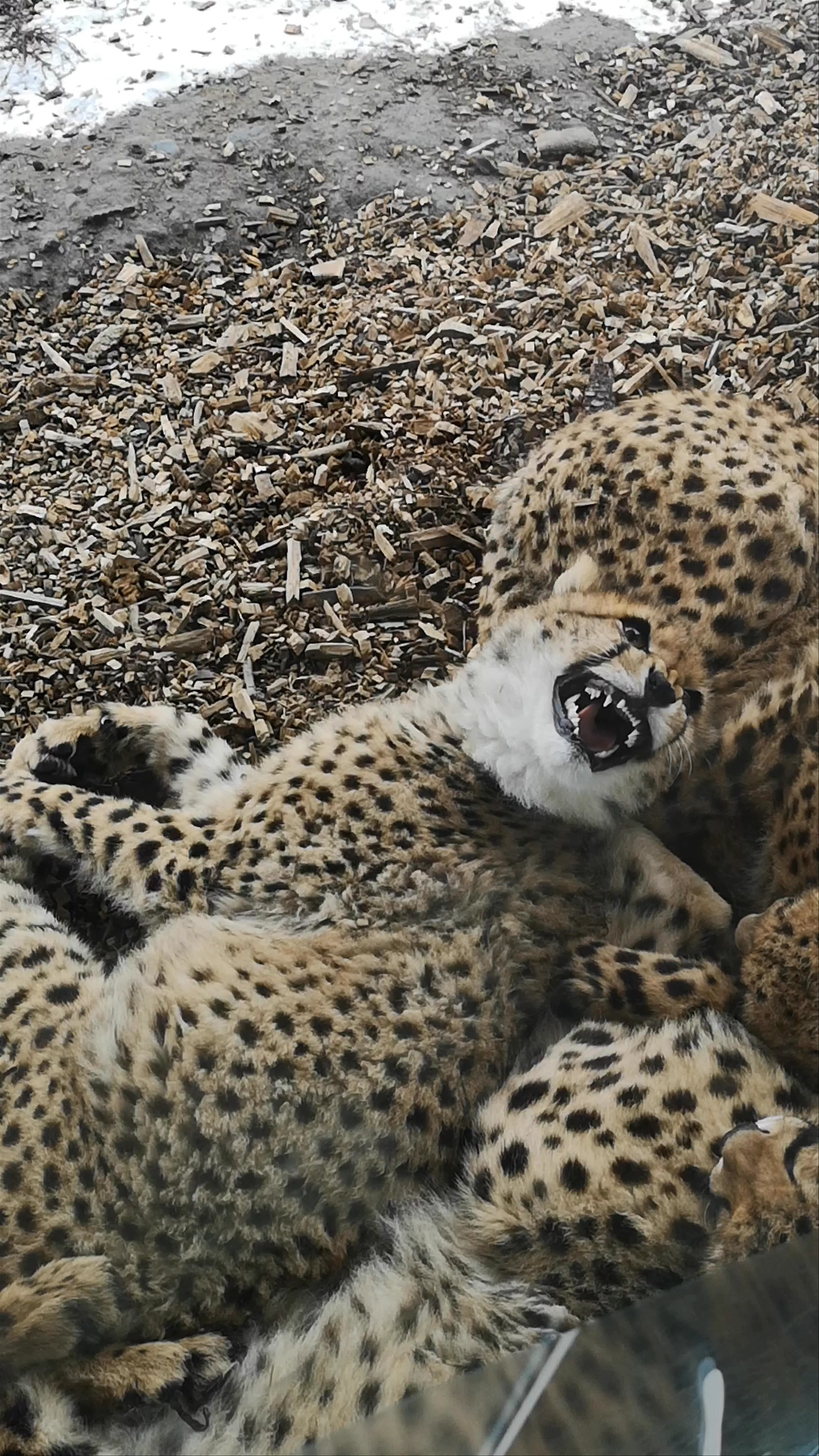 Zoo Praha