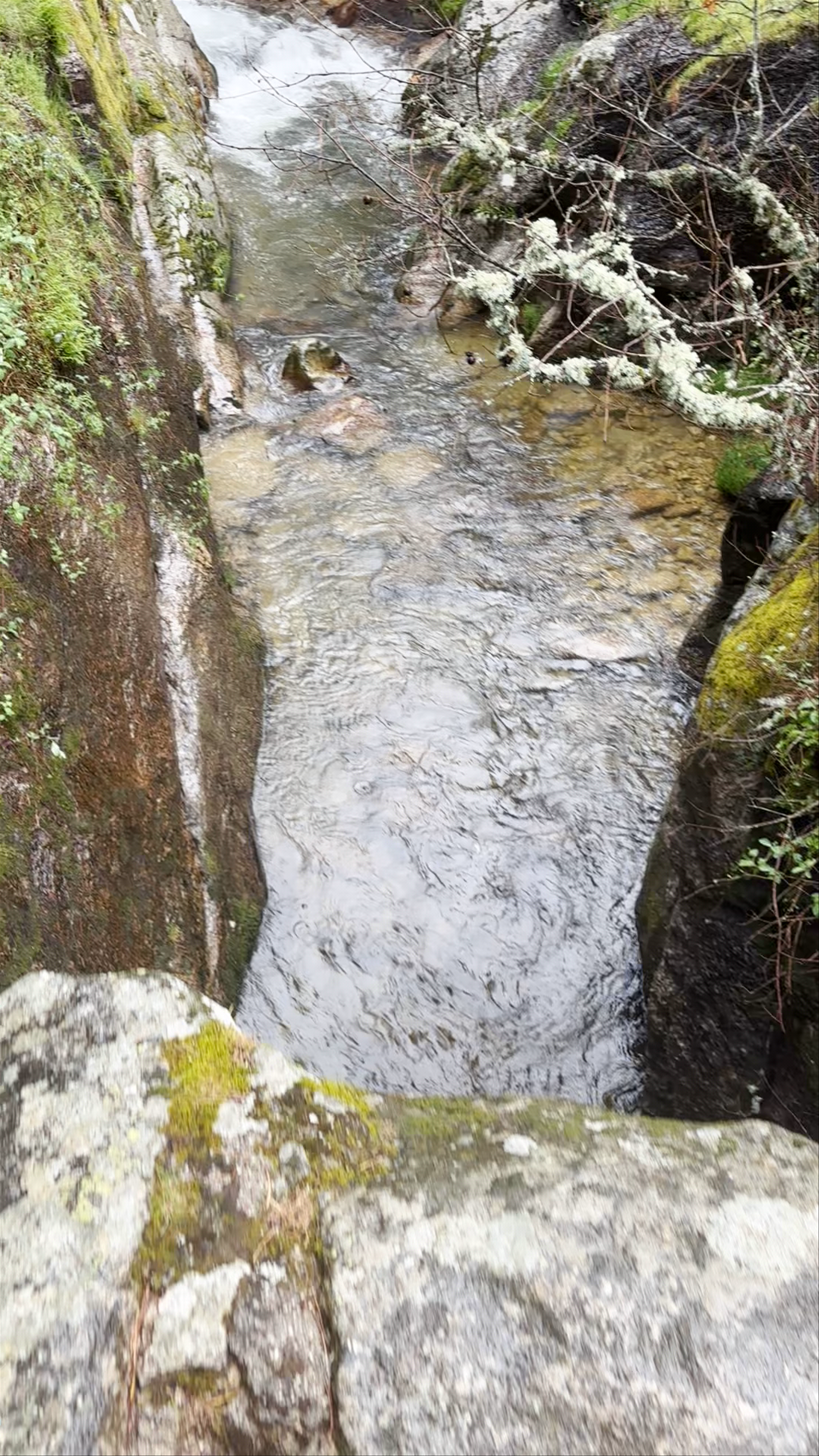 Puente de la Angostura
