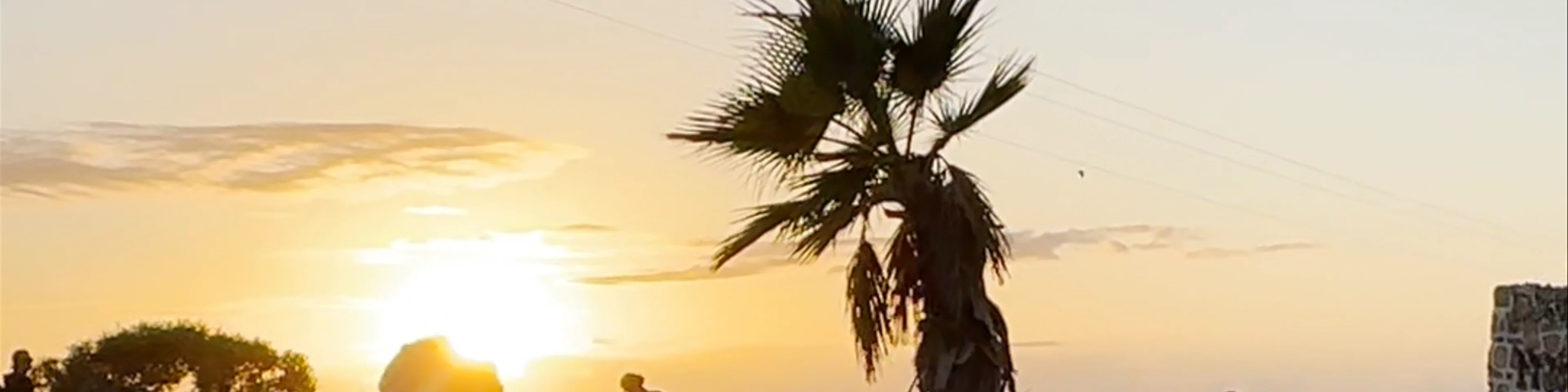 SkatePark Taghazout