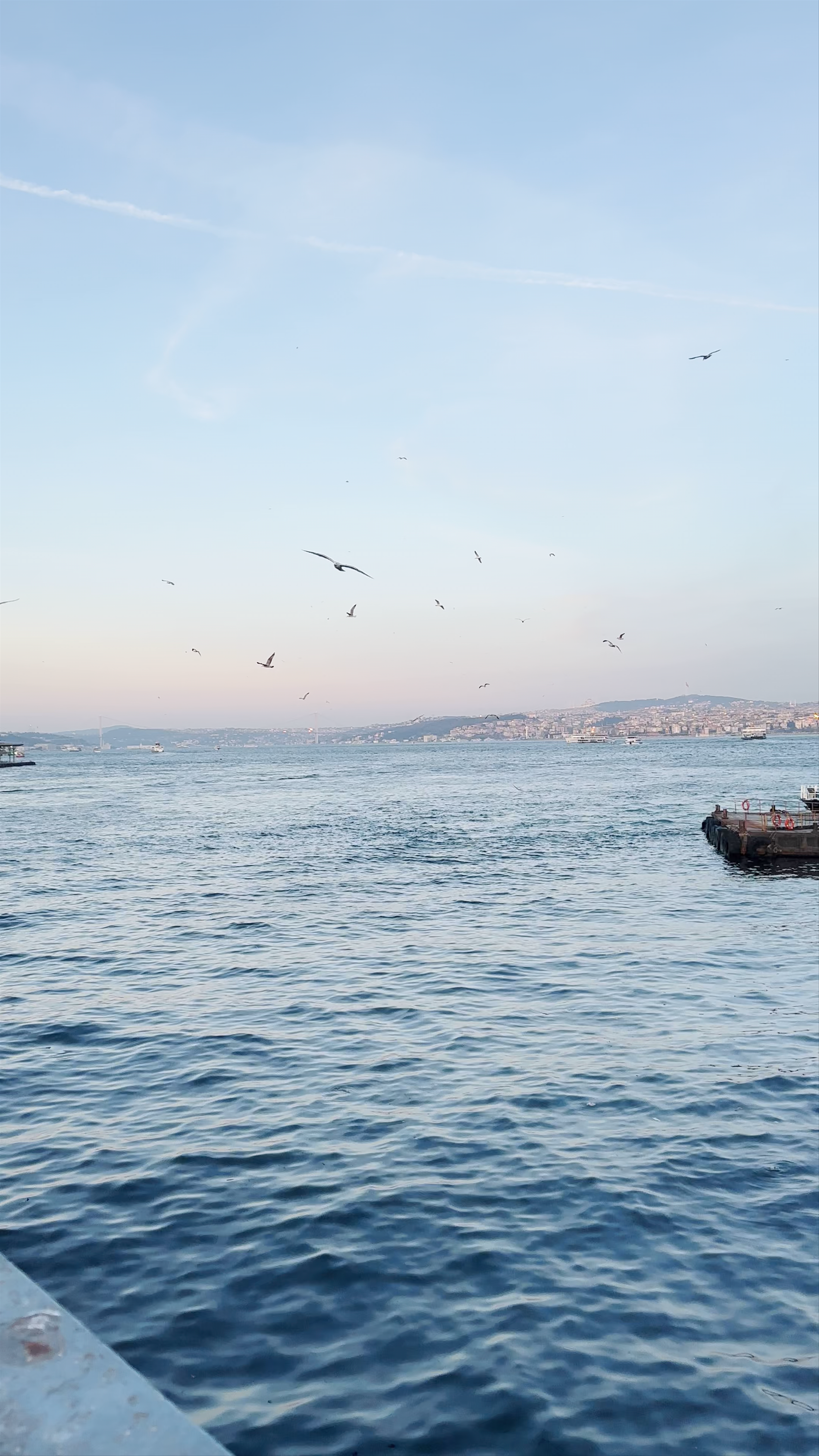 Serene Bosphorus Views from Ortaköy, Istanbul