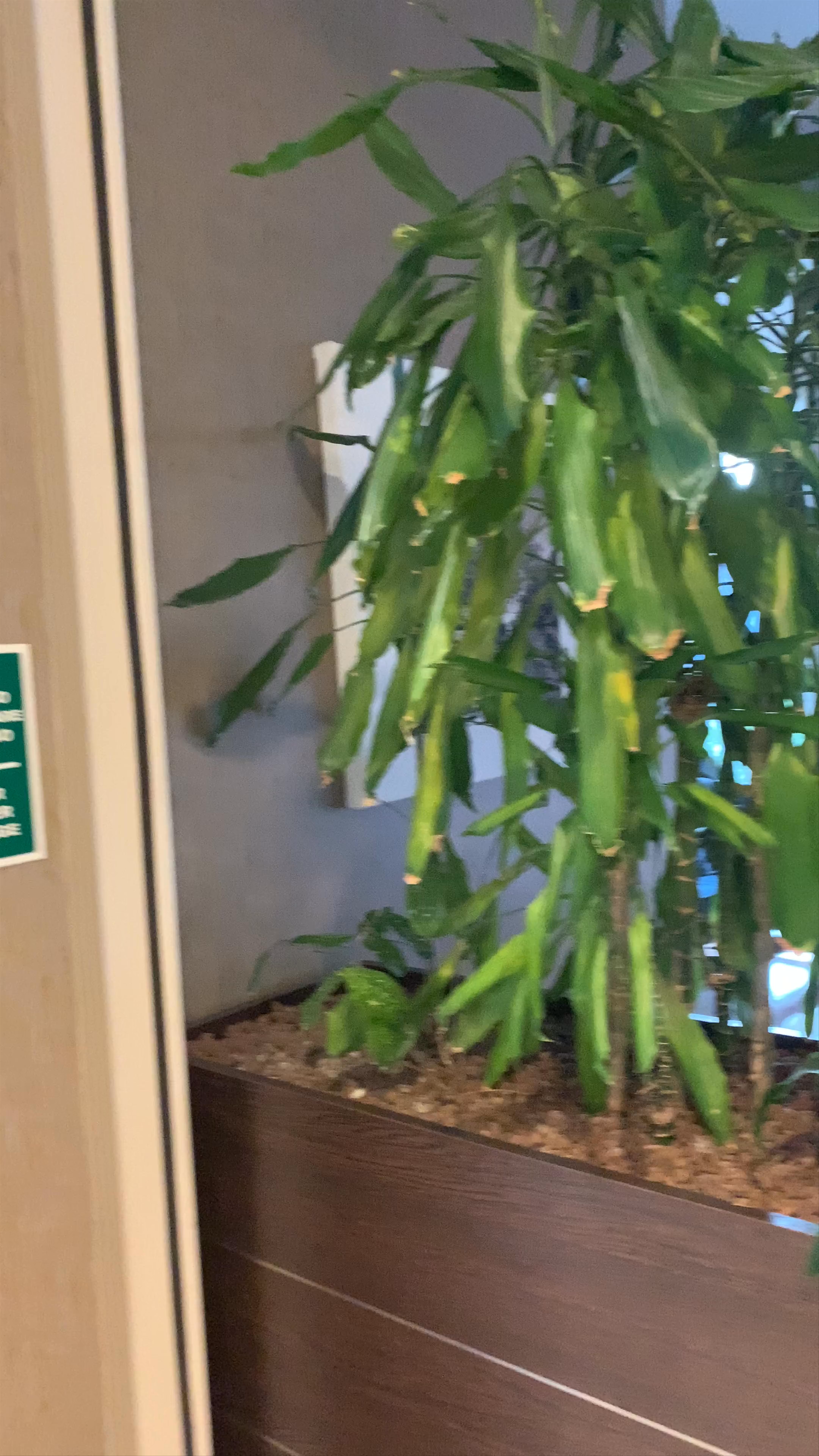 Dolce Milan Malpensa