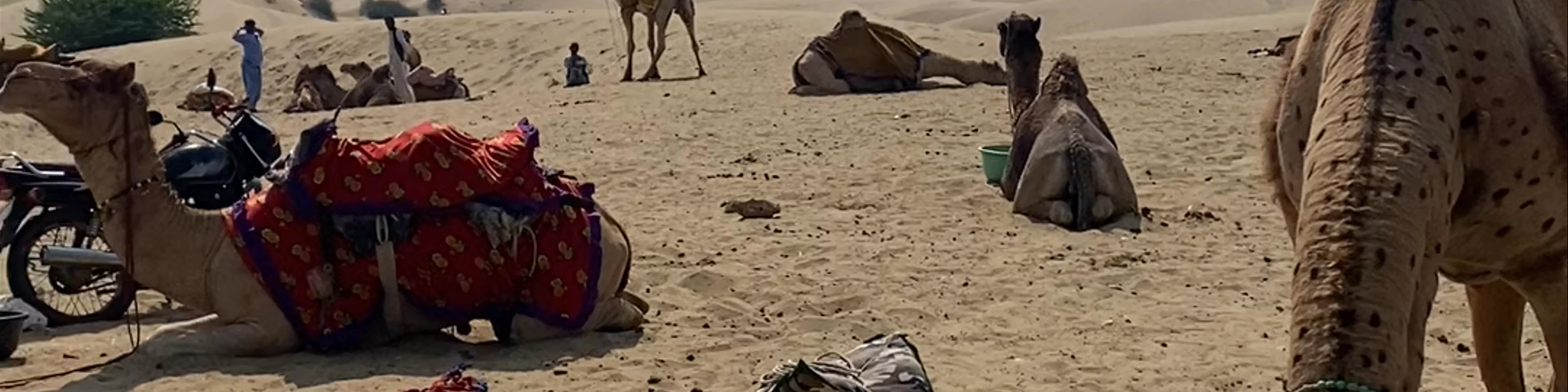 Sam sand dune jaisalmer
