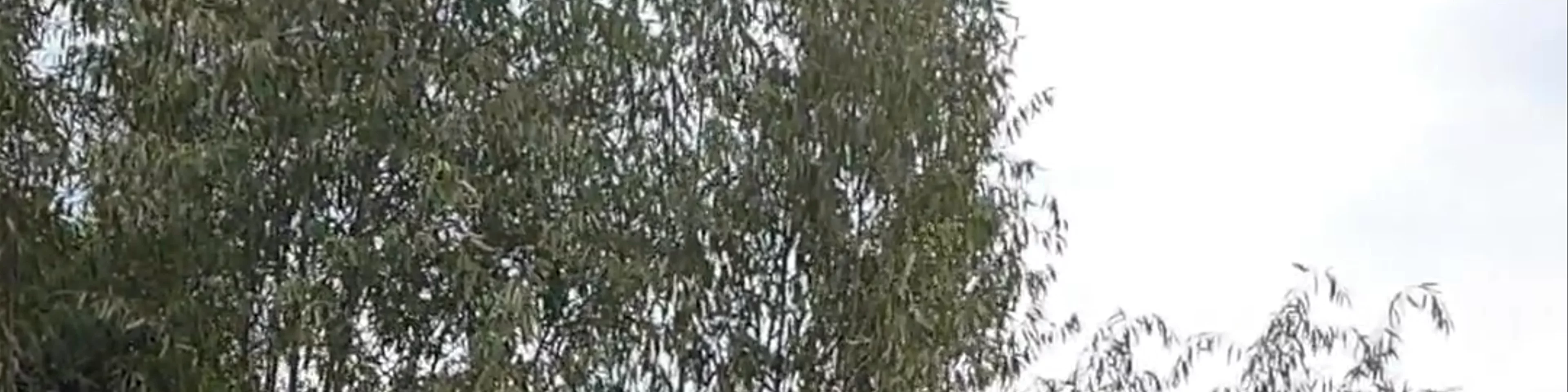 Xochimilco Embarcaderos