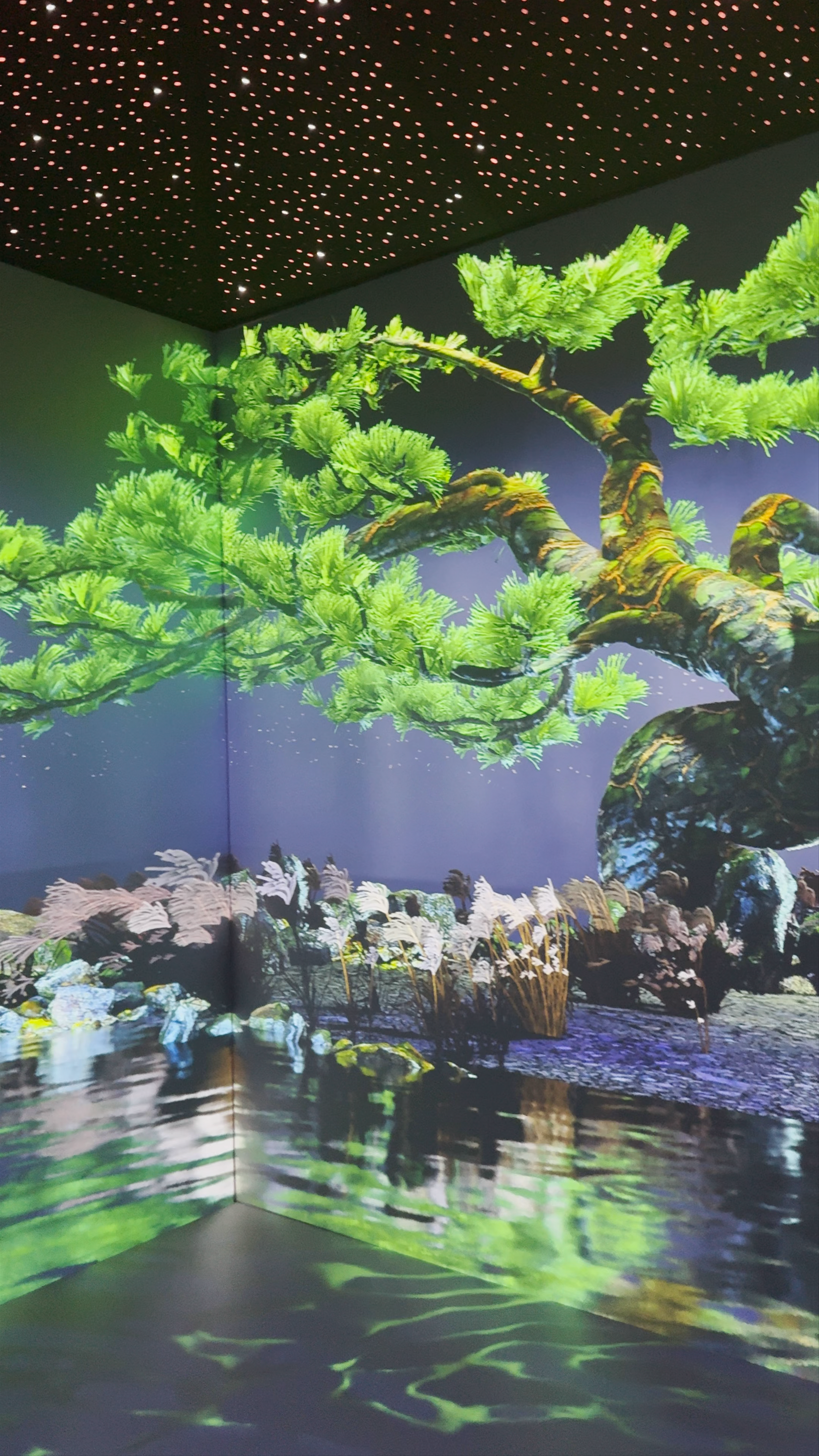 WA Museum Boola Bardip