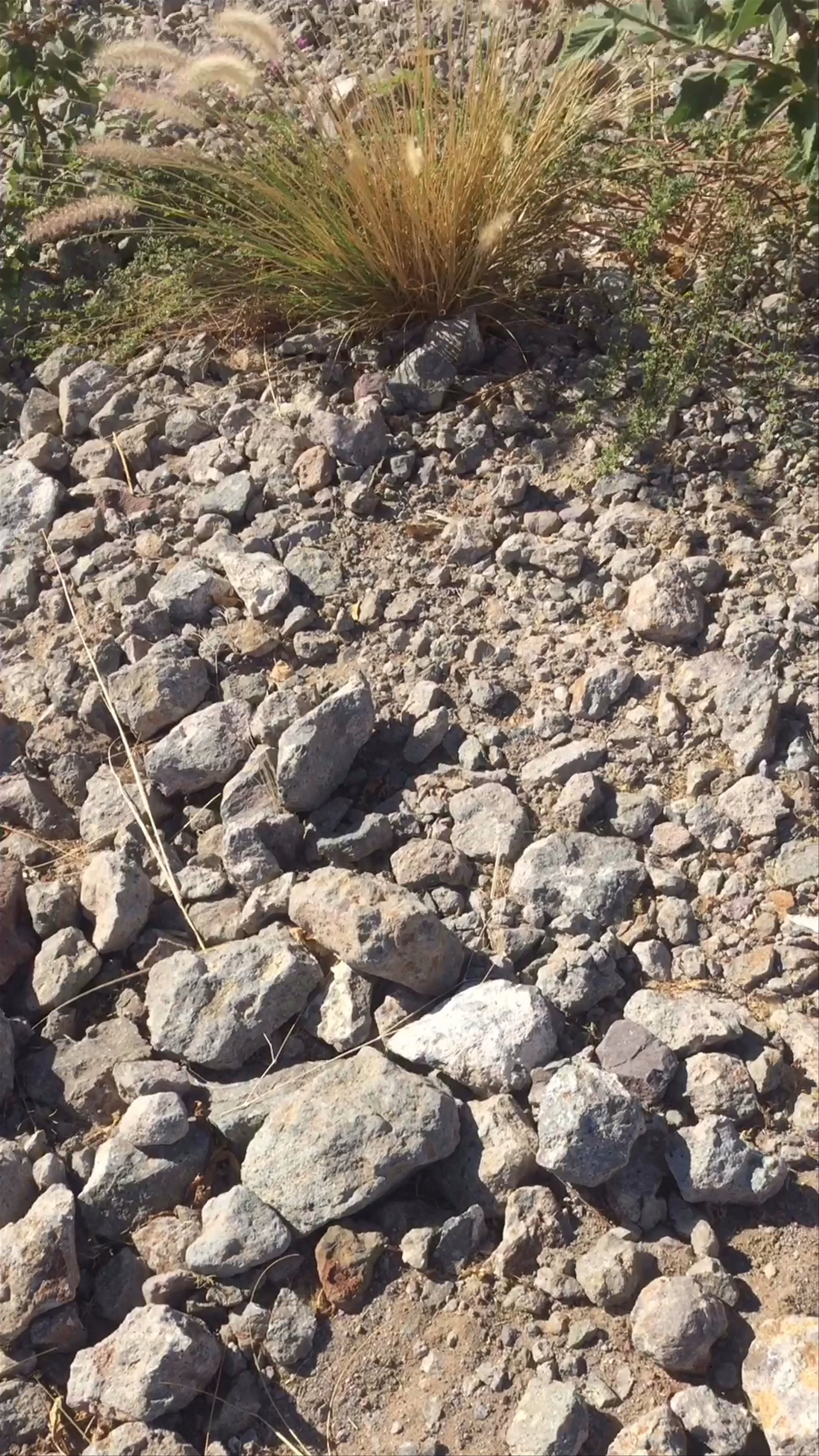 Villa del Palmar at The Islands of Loreto