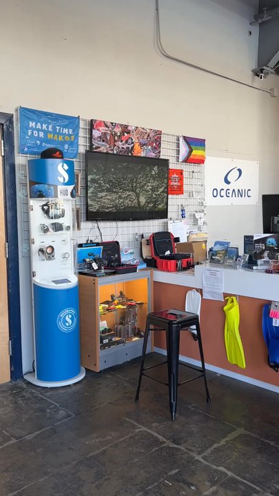 Deep Ocean Explore Store - Free Diving Near Me - Alameda, California
