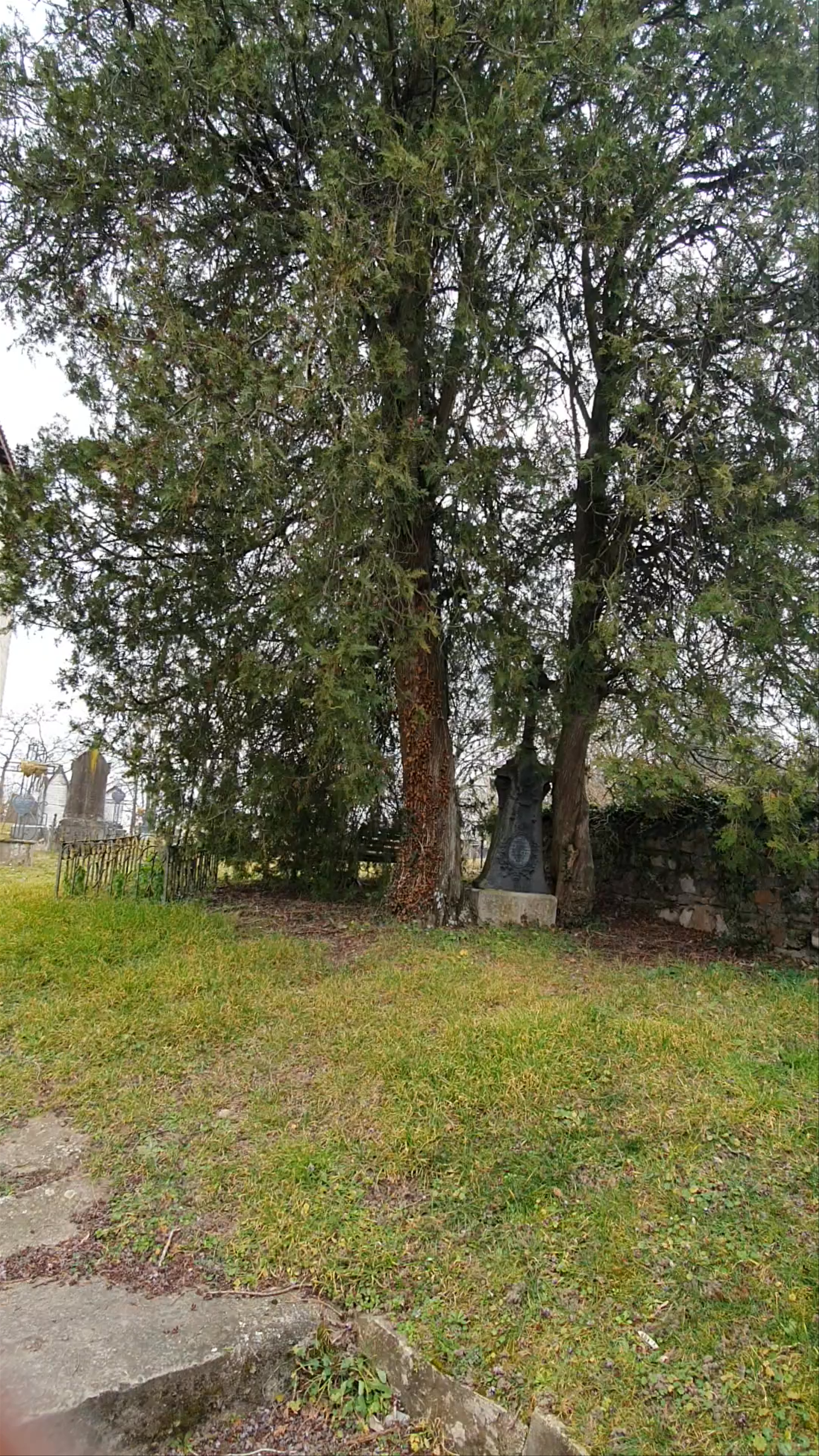 Église Saint Martin: Serenity and Heritage in Villette-d'Anthon