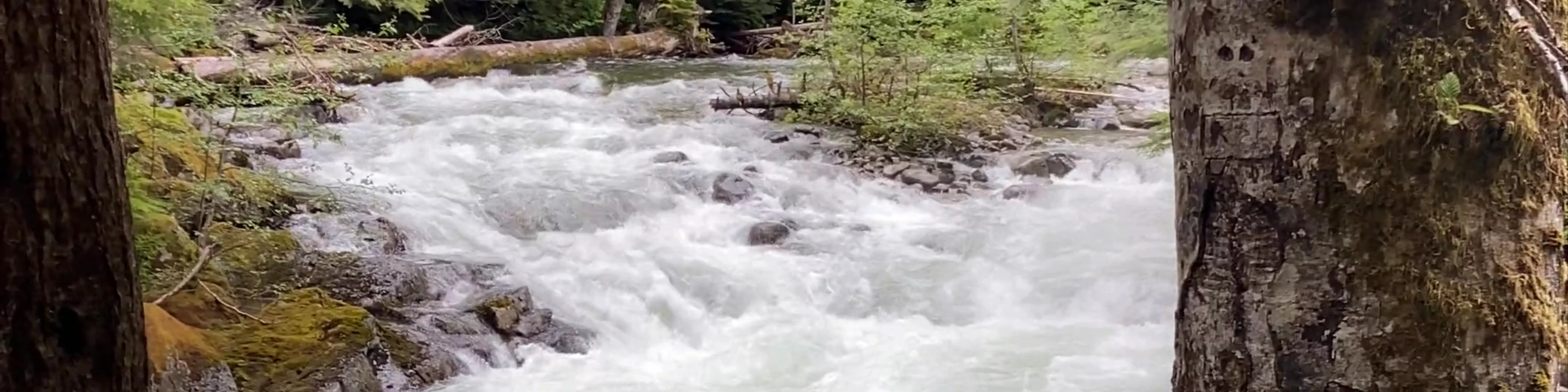 Deception Falls, Skykomish