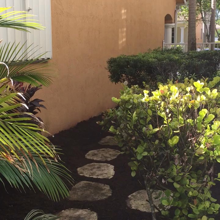 Next Level Landscaping and Maintenance - This is my new yard! - Landscaping Near Me - Lake Worth, Florida
