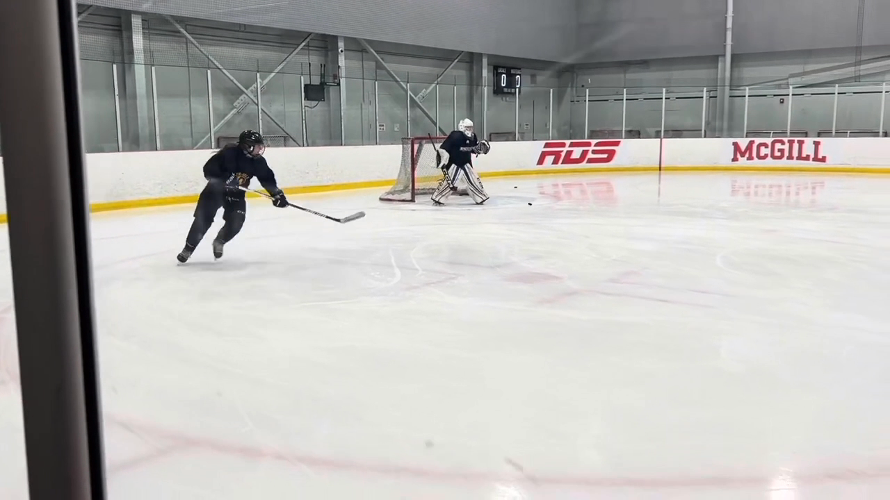 Despina Katsoulotos: Elite On-Ice Skills Training Highlights