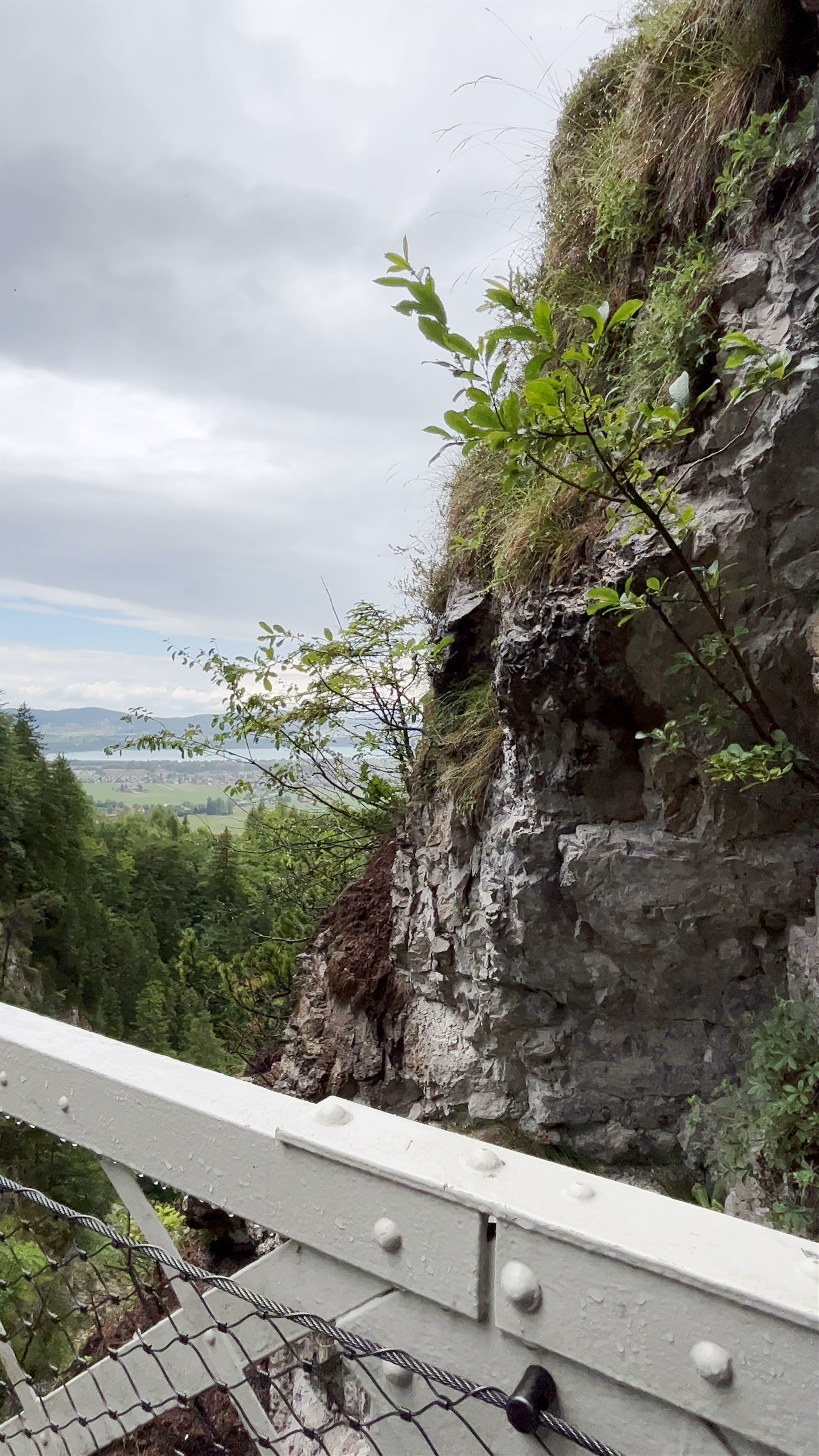 Neuschwanstein Castle