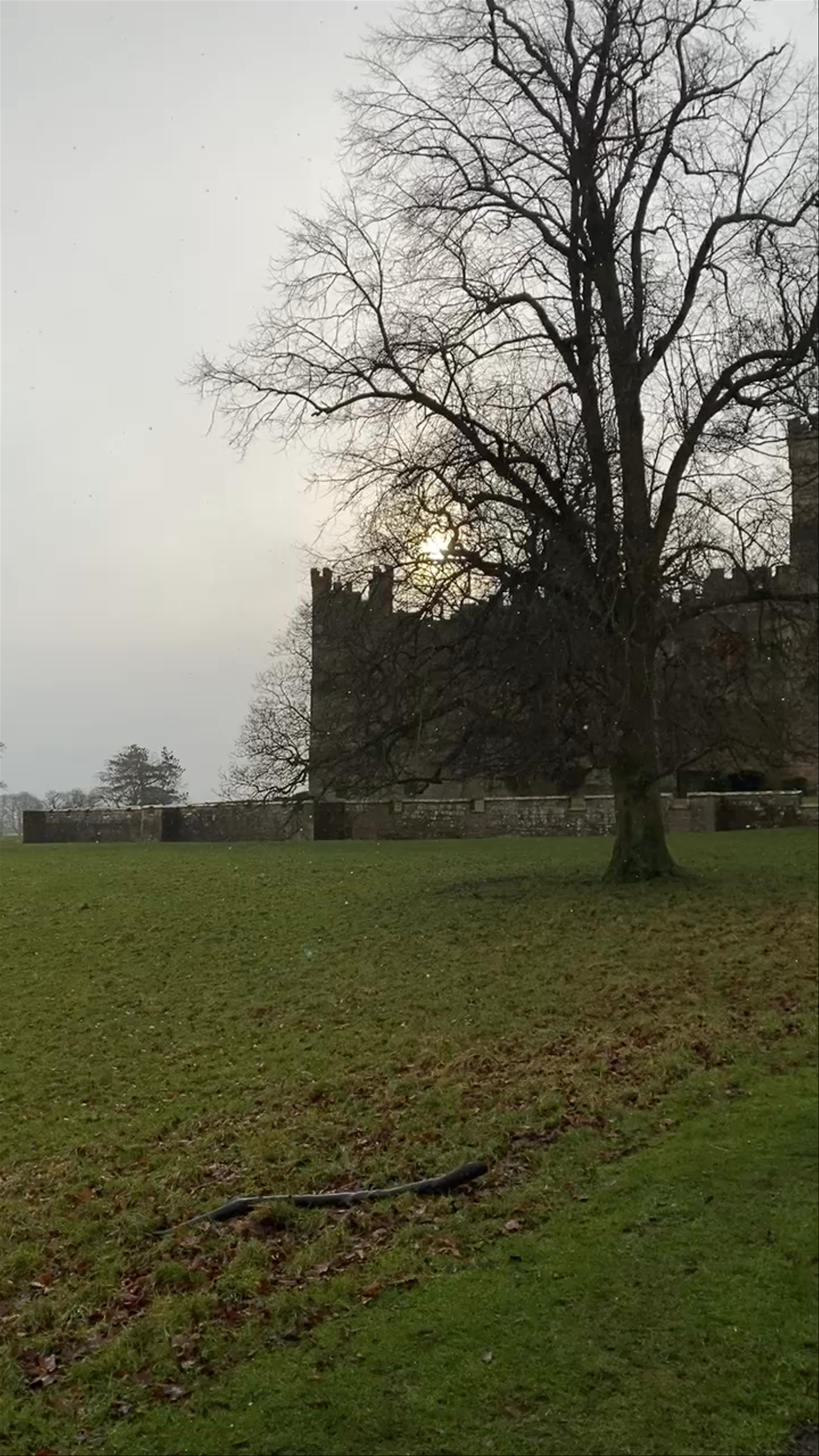 Winter Walk at Raby Castle, Darlington, UK