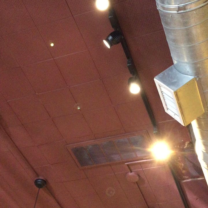 Gryphon Cafe - Annoying as hell light bulb!! - Coffee & Tea Near Me - Wayne, Pennsylvania