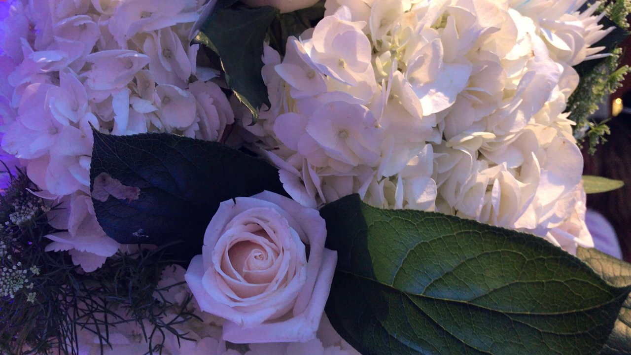 Matreshka Pro - Those waiters were gorgeous - Party & Event Planning Near Me - Los Angeles, California