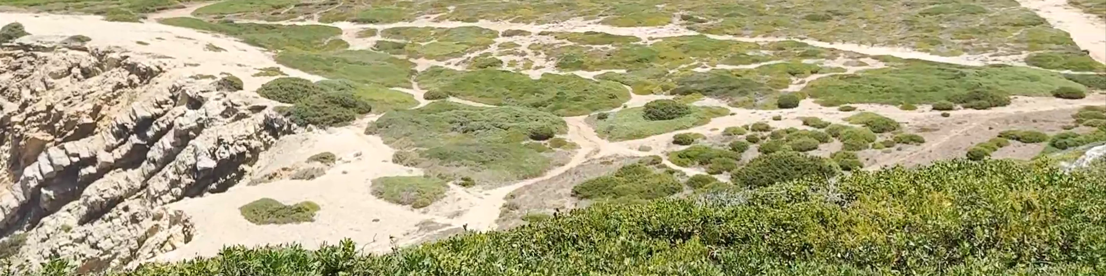 Baleeira Beach
