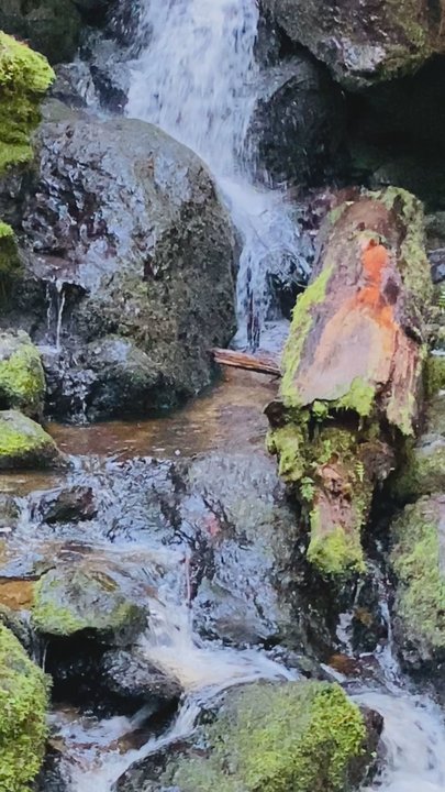 Trillium Falls Trail - Beautiful Trillium Falls! - Hiking Near Me