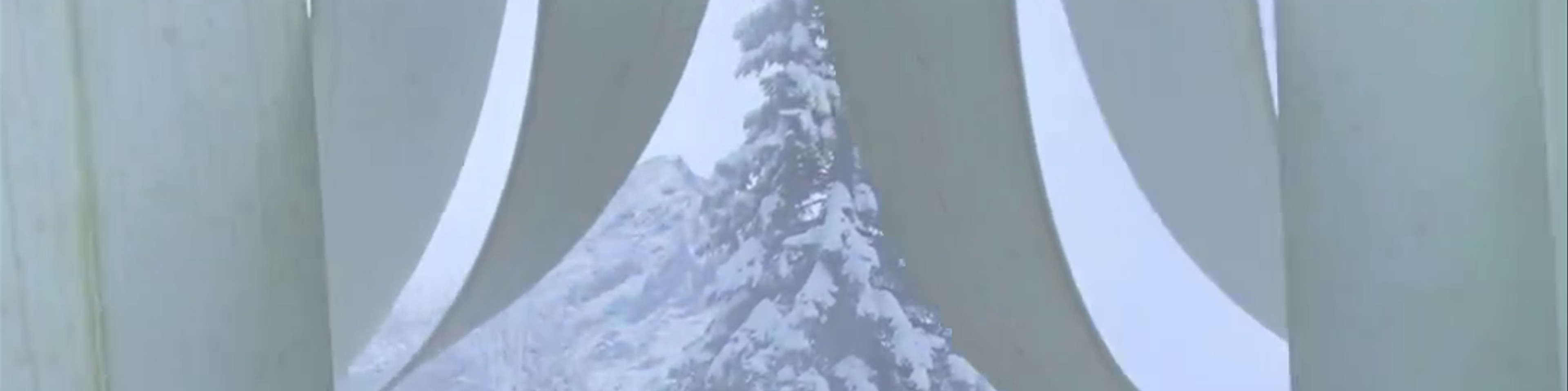 Lenk