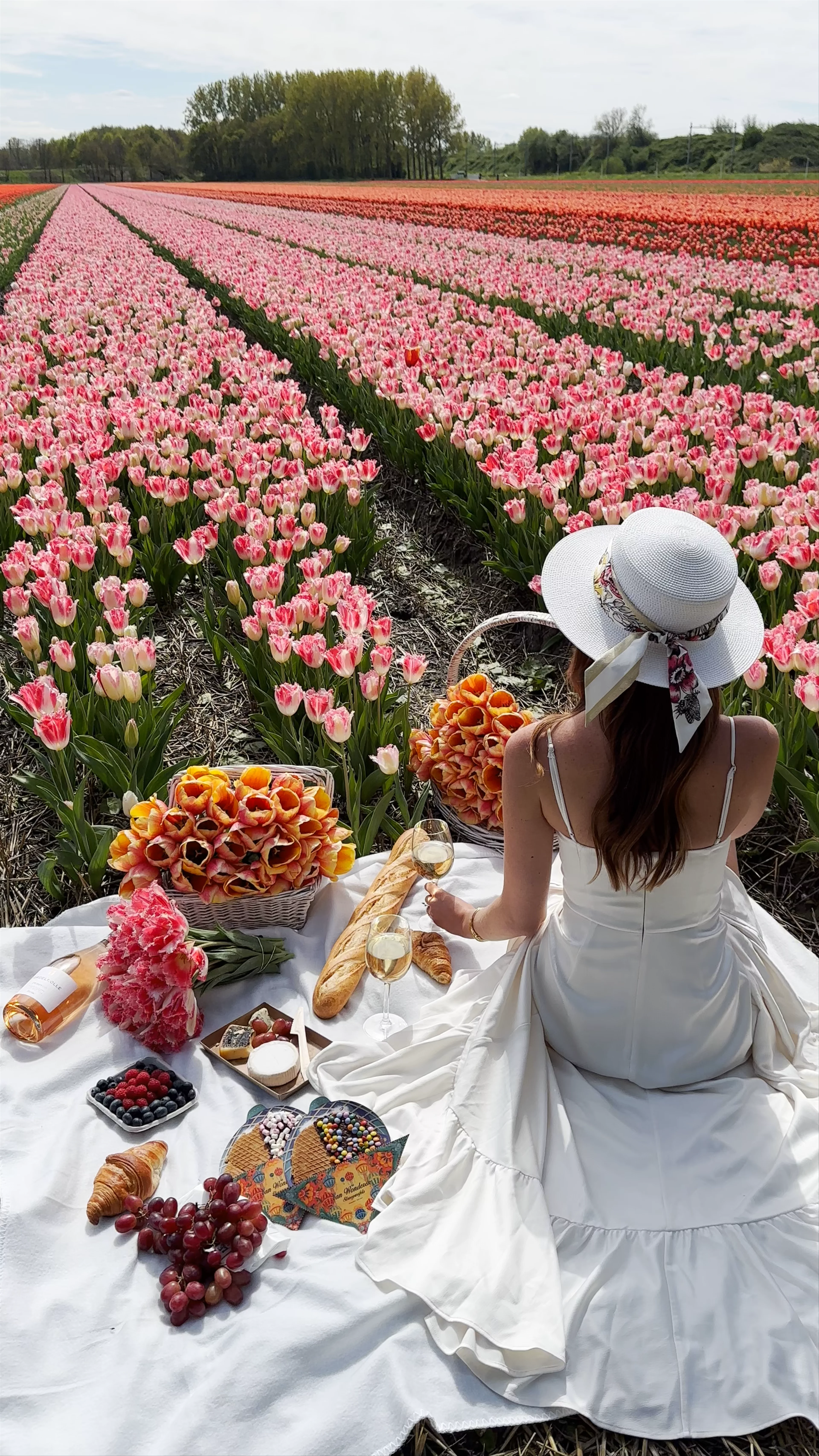 FAM Flower Farm