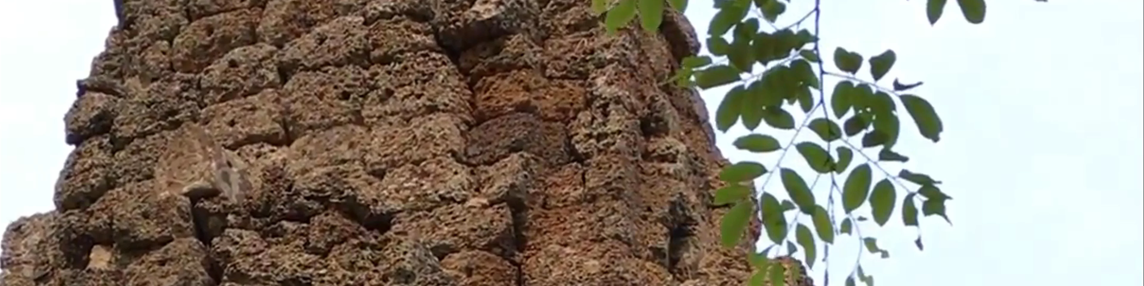 Banan Pagoda