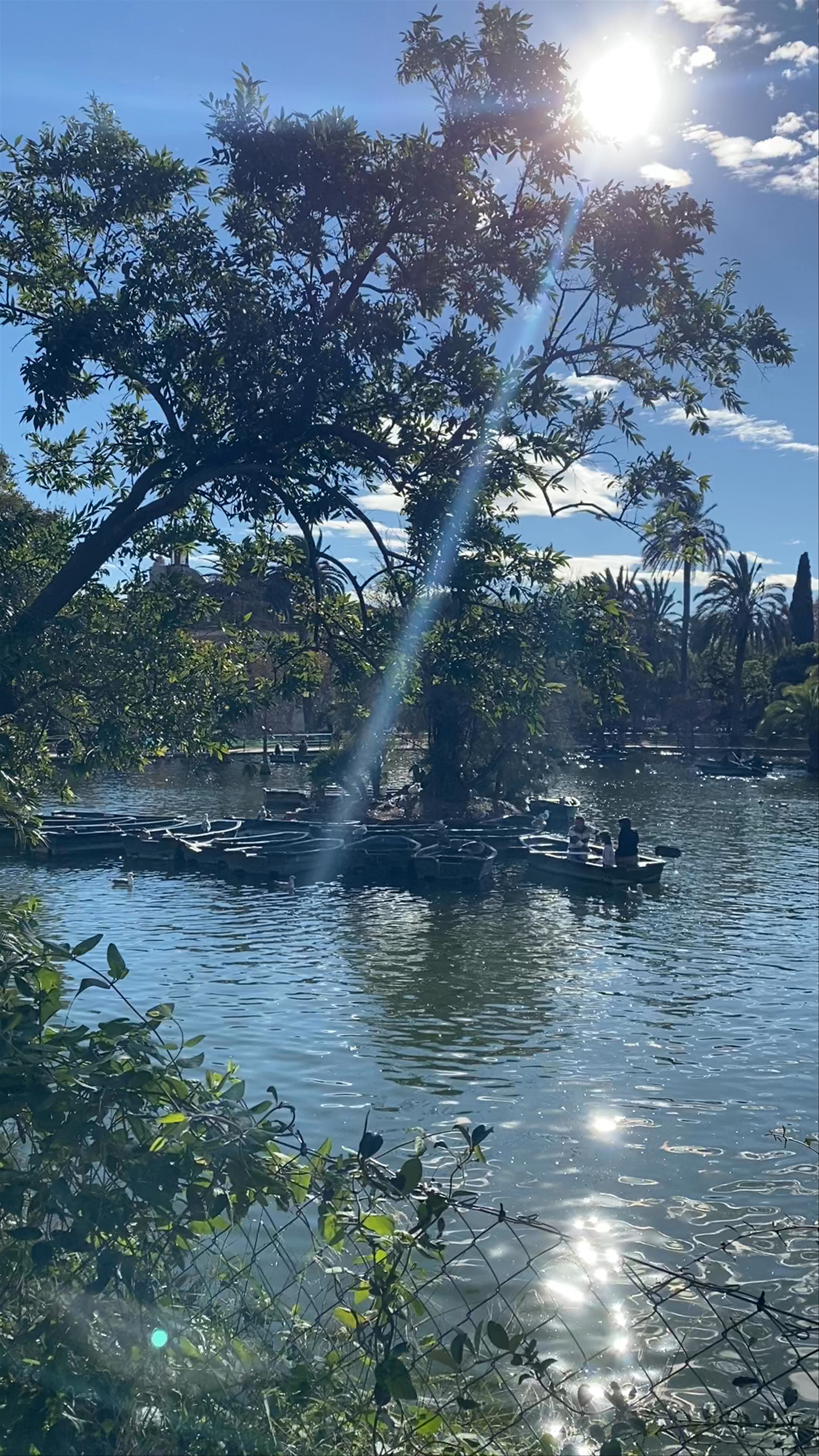 Tranquil Rowing at Ciutadella Park, Barcelona