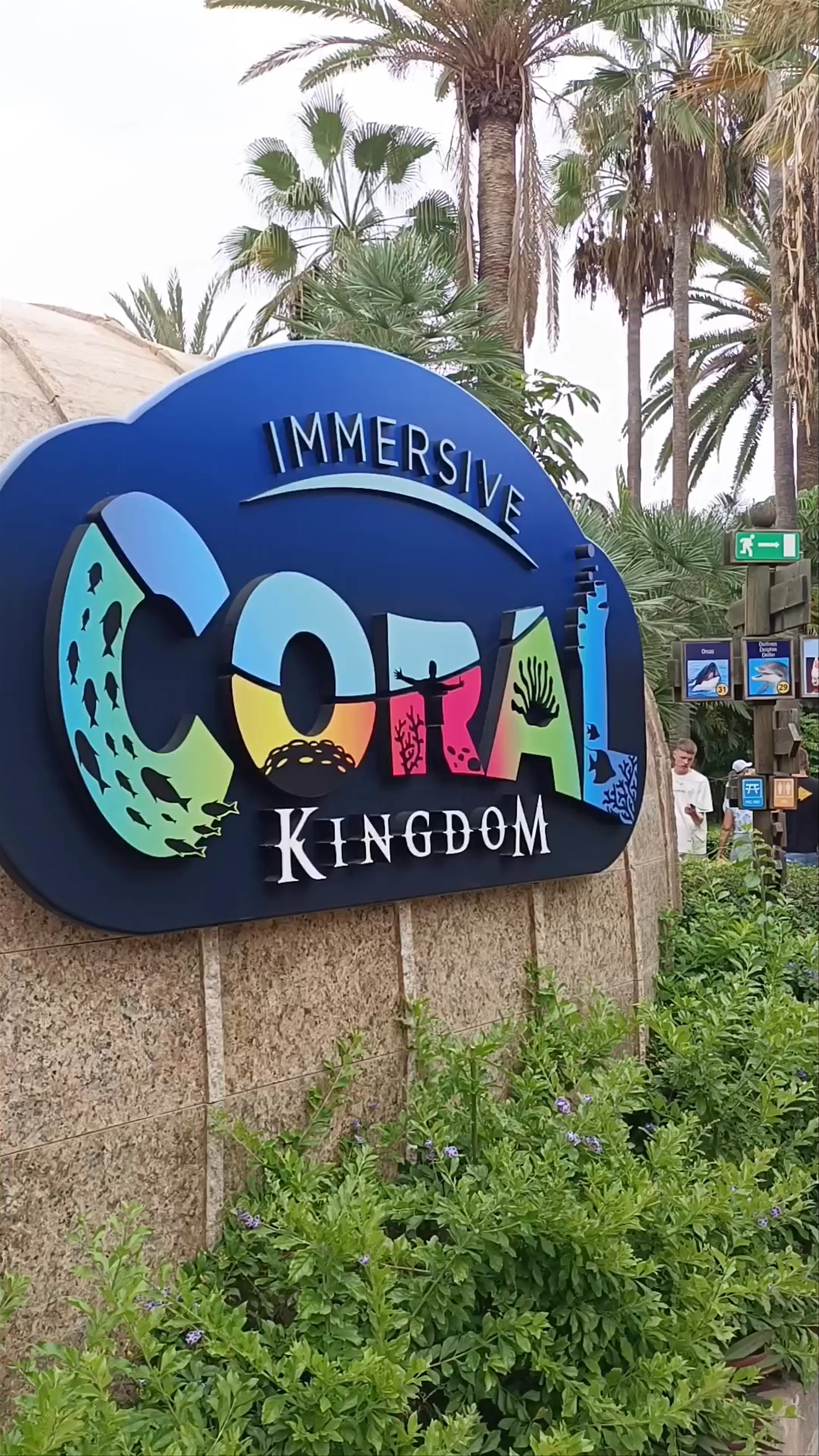 Immersive Coral Kingdom Experience in Puerto de la Cruz, Spain