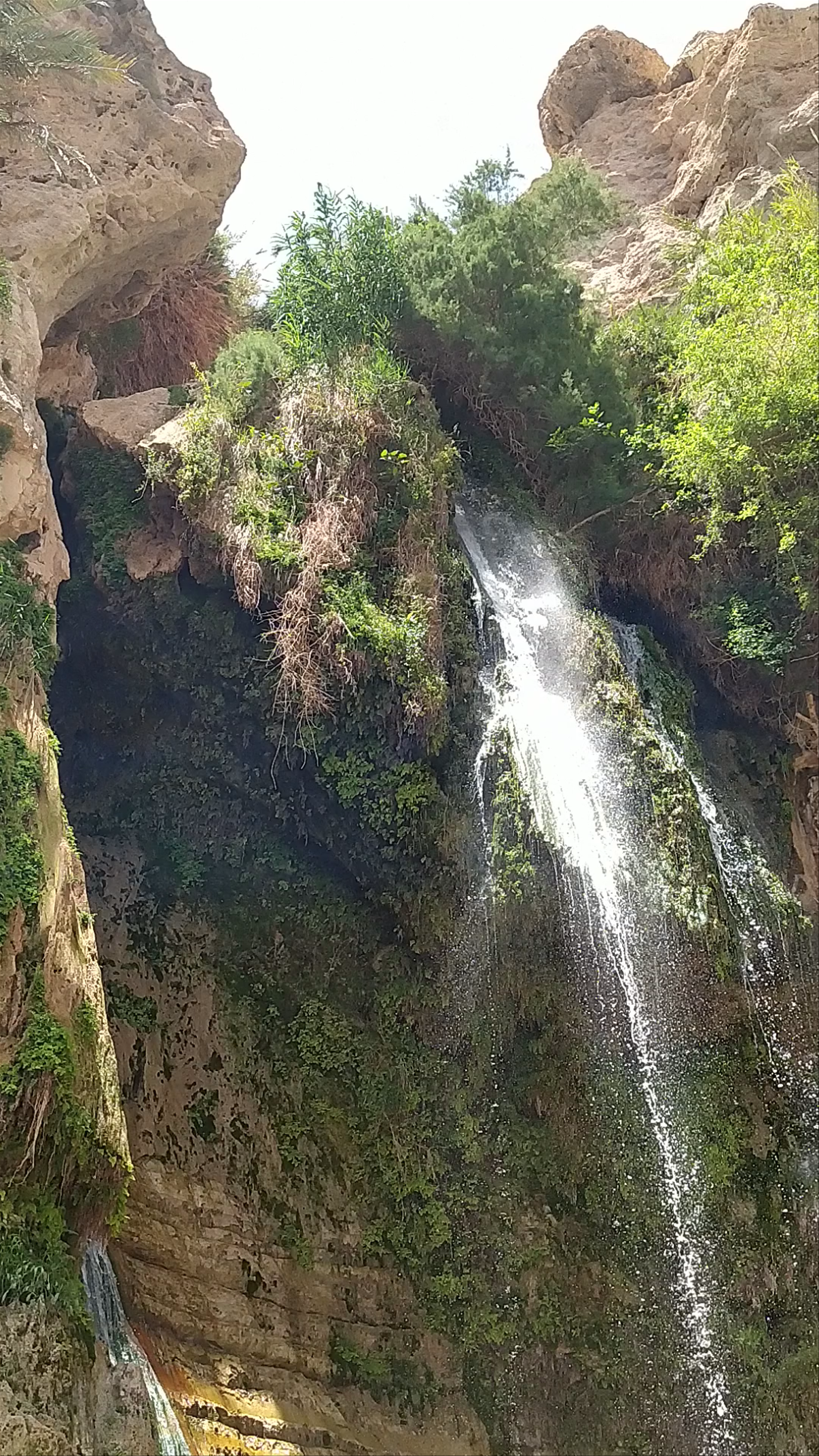 Ein Gedi Reserve