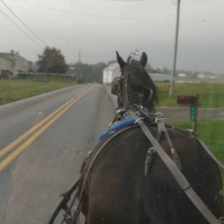 Abe's Buggy Rides - Video - Tours Near Me - Bird In Hand, Pennsylvania
