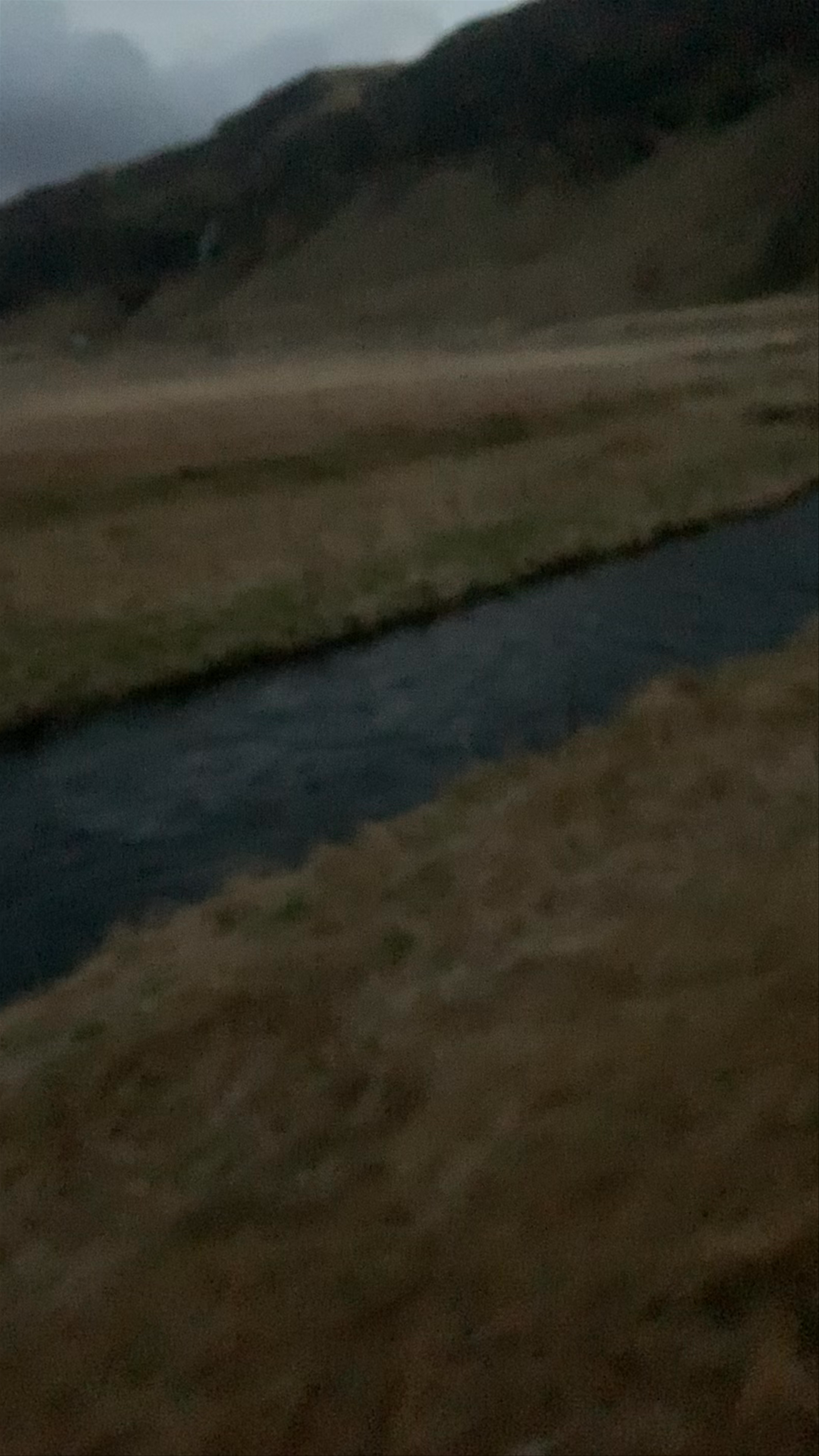 Seljalandsfoss