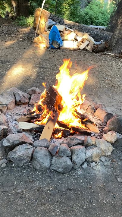 Reliable Firewood - Great fires. All maple. - Firewood Near Me - Bellevue, Washington