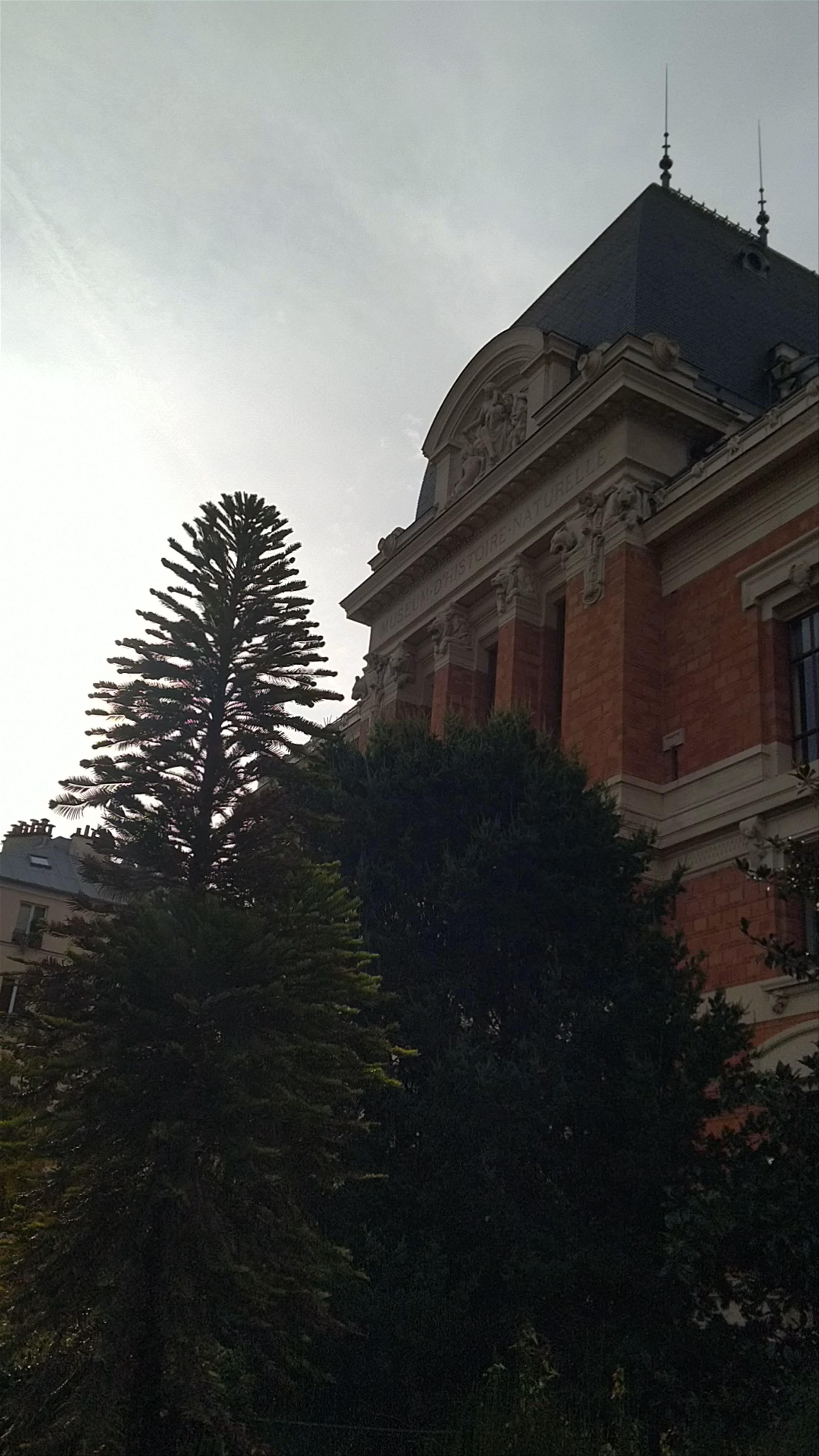 Muséum national d'Histoire naturelle: Nature's Timeless Treasure in Paris