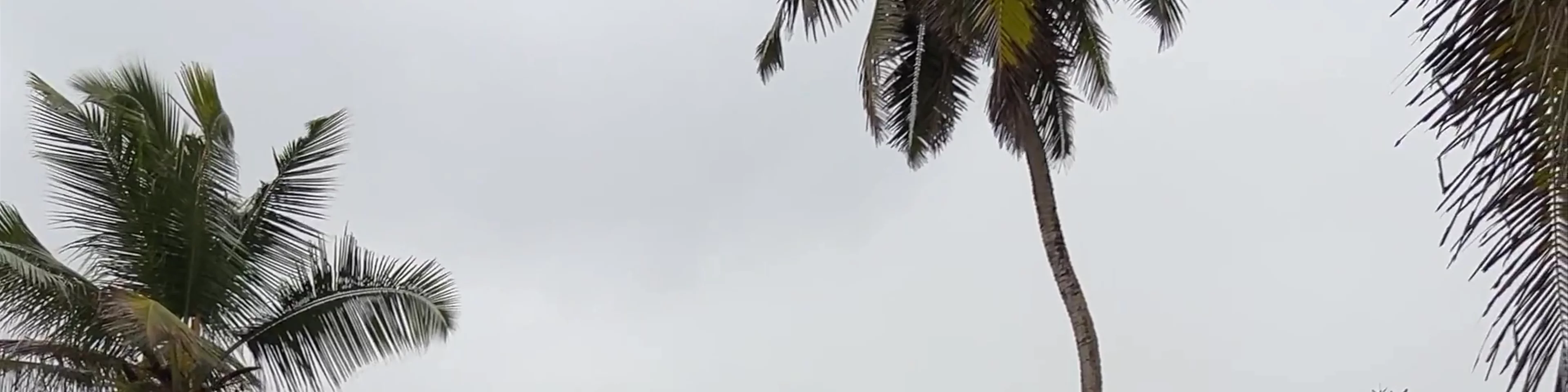 Anse Bougainville Beach