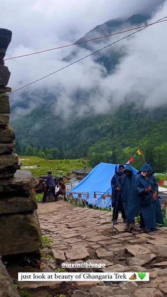 Photo of Just look at beauty 