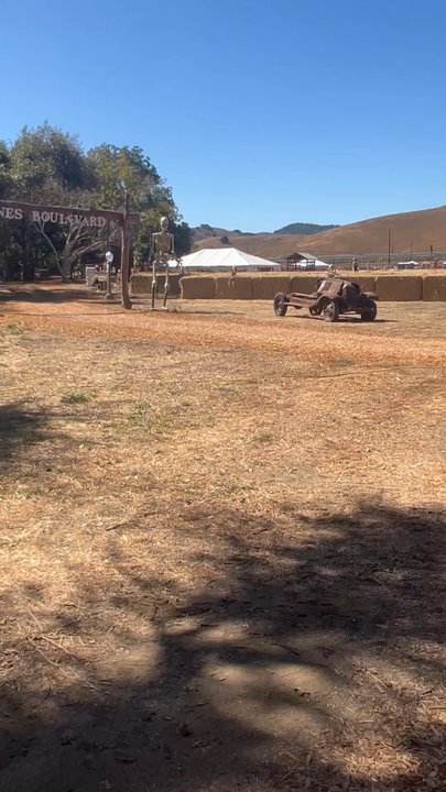 Mickelson Pumpkin Patch - Pumpkin Patches Near Me - Petaluma, California