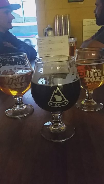 Mountain Toad Brewing - Breweries Near Me - Golden, Colorado