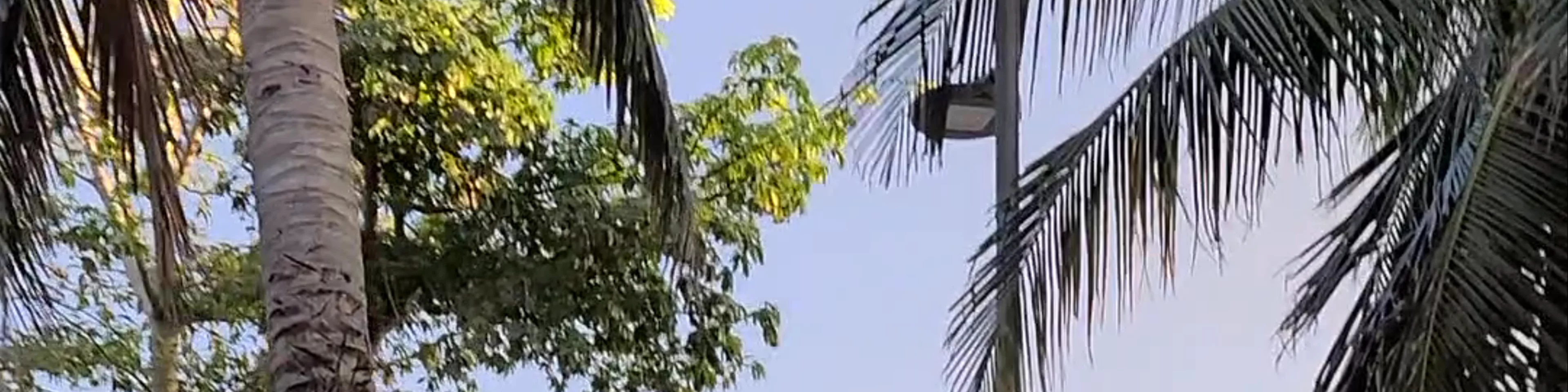 Parque Los Fundadores