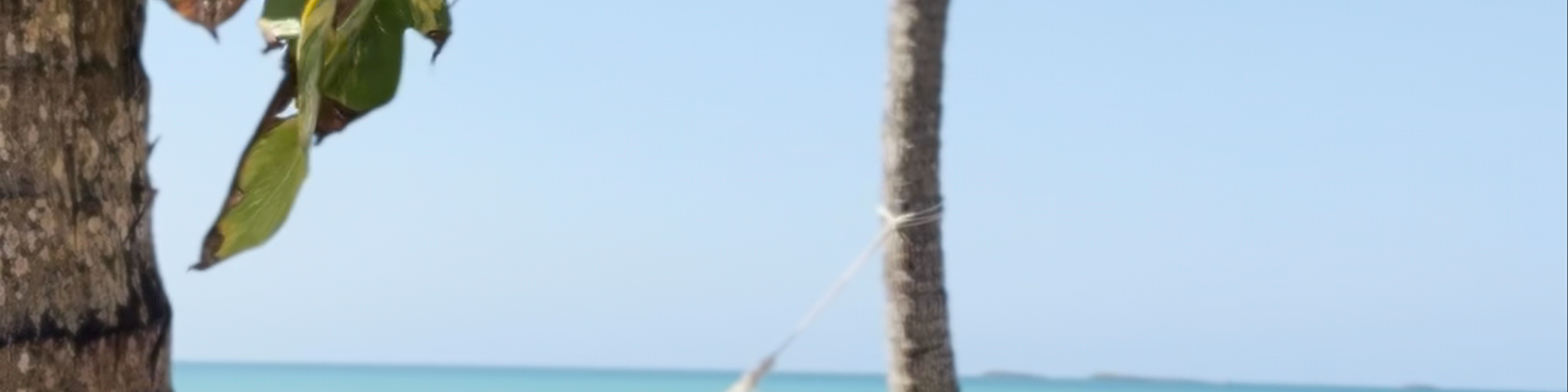 Dominican Republic